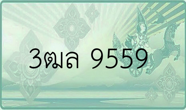 3ฒล 9559